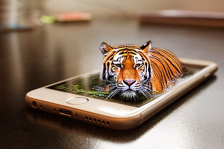 gold iPhone 6 on brown surface thumbnail