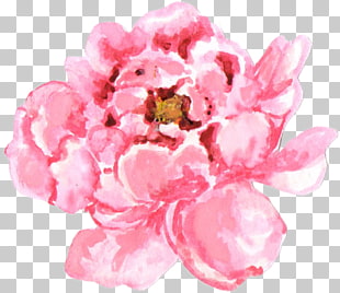 business pregnancy baby shower organization birth peony png clipart baby shower organization