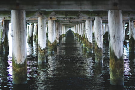 View under pier in Sopot thumbnail