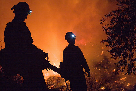 silhouette photo of two firefighters during forest fire thumbnail