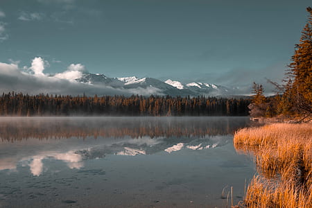 body of water with trees on side photo thumbnail