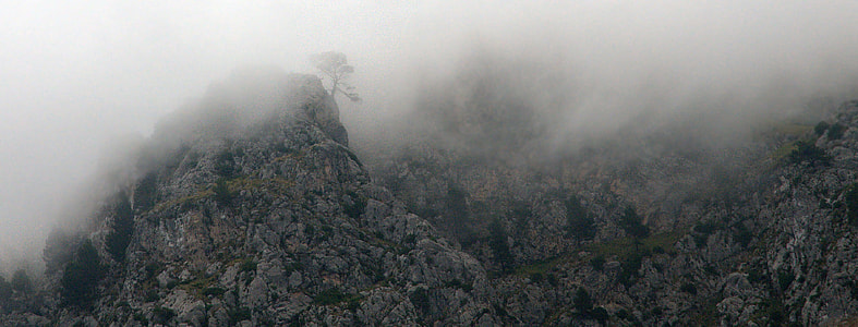 foggy rock mountain during daytime thumbnail