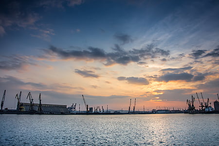 cranes beside water thumbnail