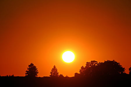 silhouette of trees during sun set thumbnail