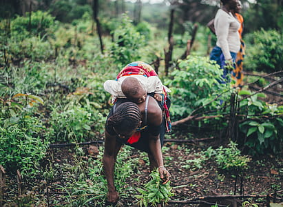 woman picking leaves thumbnail
