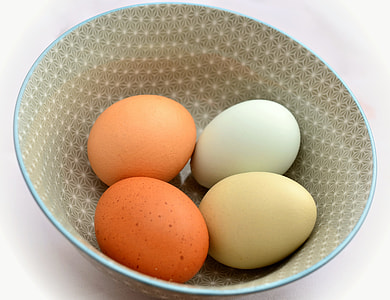 four eggs in bowl thumbnail