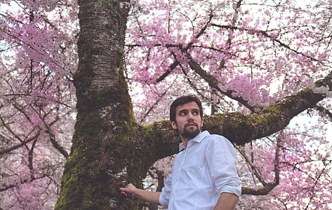 man wearing white dress shirt standing beside cherry blossom tree at daytime thumbnail