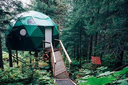 cabin, bridge, solitude, camping thumbnail
