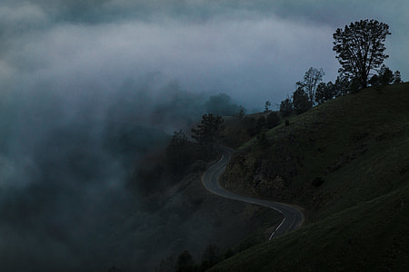 asphalt road surrounded with fog thumbnail