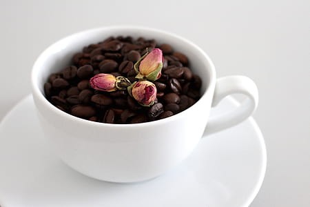 white teacup on saucer thumbnail