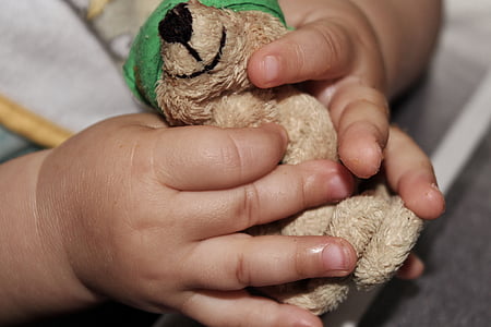 person holding dog plush toy thumbnail
