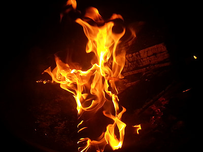 wood with fire at night time thumbnail