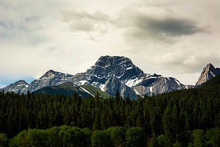landscape photography of mountain range and tree thumbnail