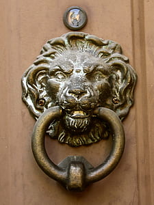 brown lion door knocker thumbnail