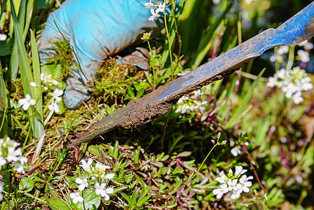 shallow focus photography of shovel and plants thumbnail