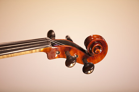 brown violin headstock thumbnail