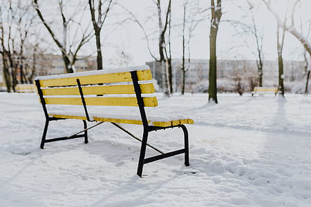 Wintery Park thumbnail