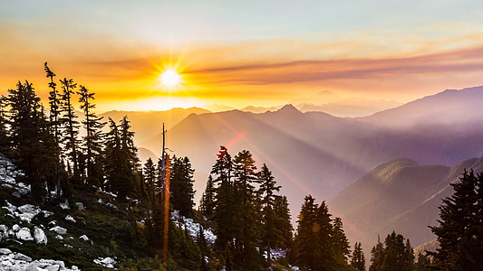 Sunlight and Sunset in Washington thumbnail