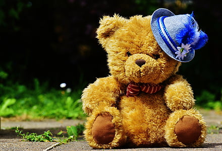 brown bear plush toy on concrete floor thumbnail