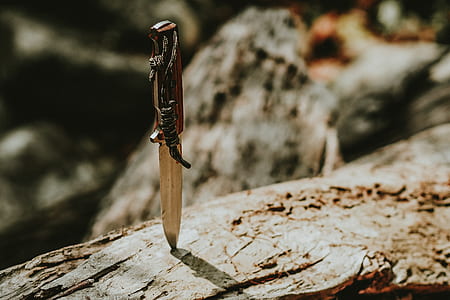 selective focus photography of brown handled pocketknife on driftwood thumbnail
