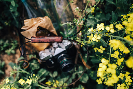 Woman with vintage camera in the field of blooming rapes thumbnail