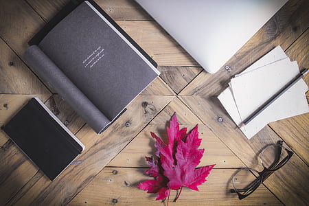 flat lay photography of book and eyeglasses thumbnail