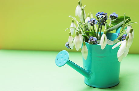 teal watering can with white flowers thumbnail
