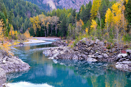 green body of water near green trees during daytime thumbnail