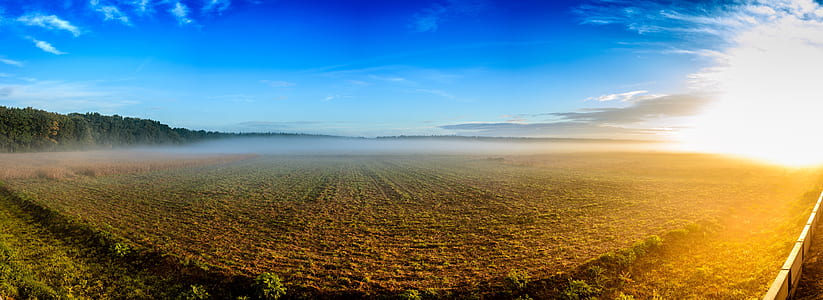 aerial photography of plantation thumbnail