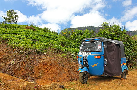 blue and black auto rickshaw parked near green leaf plant during daytime thumbnail