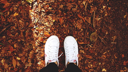 person wearing pair of white sneakers thumbnail