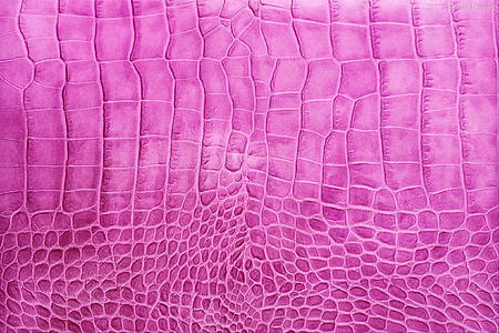 pink alligator leather thumbnail