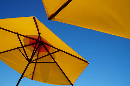 low angle-view of yellow patio umbrellas thumbnail