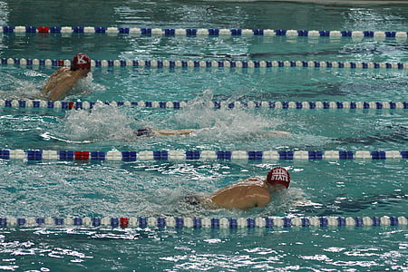 several athletic swimmers in swimming pool thumbnail