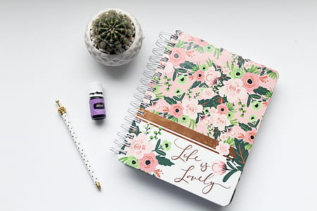 spiral notebook and pencil on white panel thumbnail