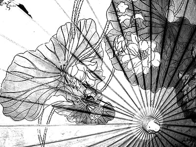gray and white floral umbrella thumbnail
