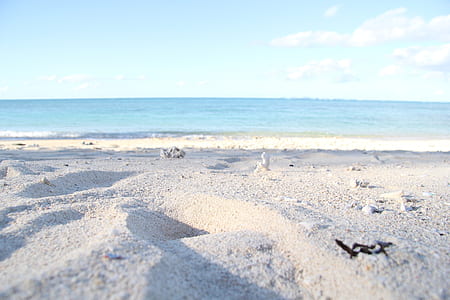 body of water near shore thumbnail