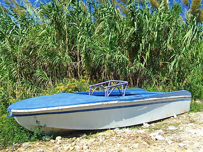 blue and white wooden boat beside green plants thumbnail