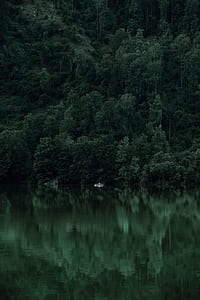 boat on body of water near trees thumbnail