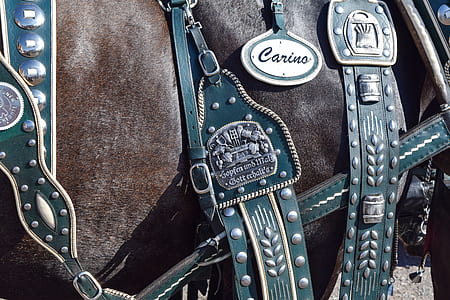 teal leather Carino straps thumbnail