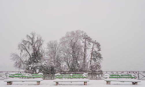 photograph of park benches near fence thumbnail