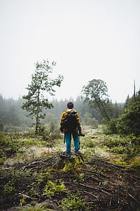 person standing on brown tree stump surrounded by green leafed trees during daytime thumbnail