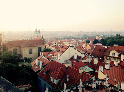 aerial photography of red rood houses at daytime thumbnail