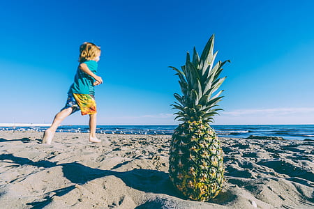 green pineapple near seashore during daytime thumbnail