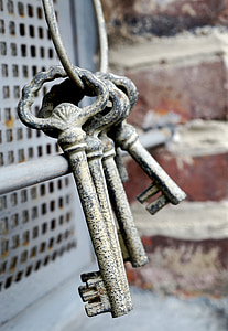 selective focus of black and grey skeleton keys thumbnail