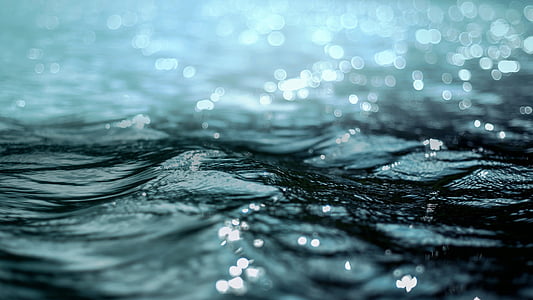 selective focus photography of water thumbnail