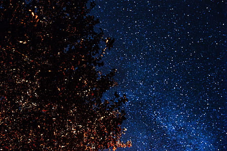 A trees under the starry sky thumbnail