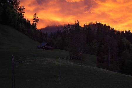 wood, light, dawn, landscape thumbnail