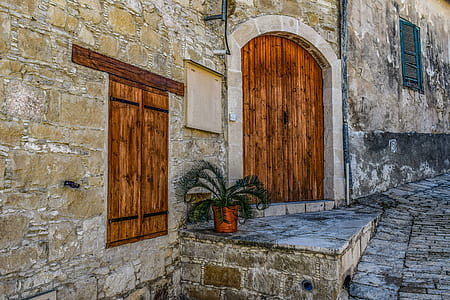 palm plant near brown wooden door thumbnail