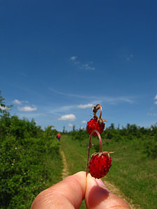 Strawberry, Summer thumbnail